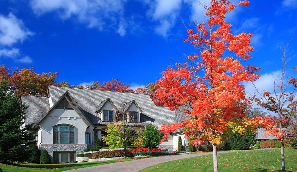 Fall Maintenance Tips to Keep Your Landscape in Top Shape