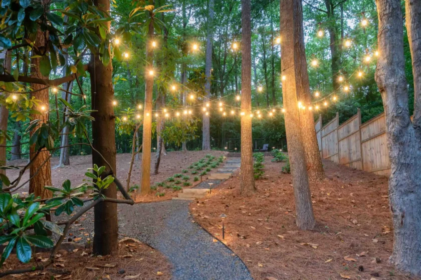 Landscape Lighting for Buckhead, Atlanta, GA