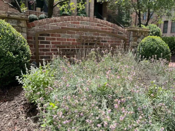 Buckhead, Atlanta, GA Commercial Landscaping Companies