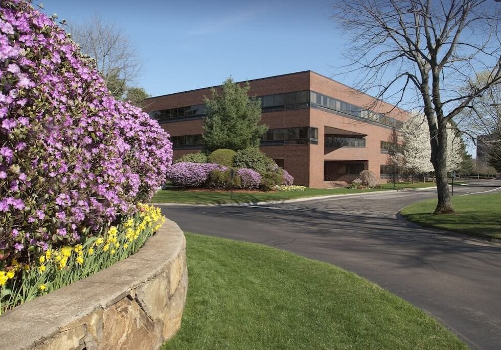 Buckhead Landscaping Medical Offices