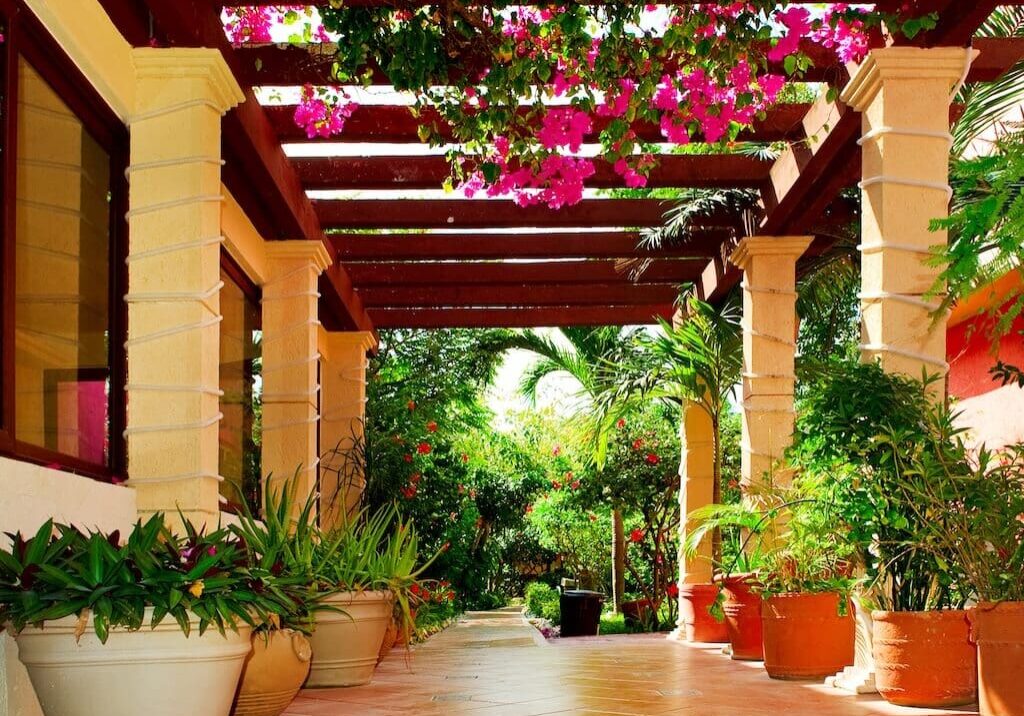 Buckhead Landscaping Restaurant