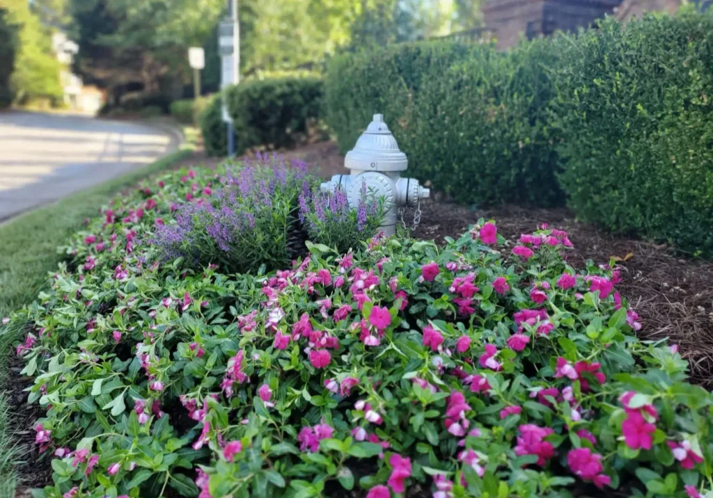 Landscape-Maintenance-Roswell-GA
